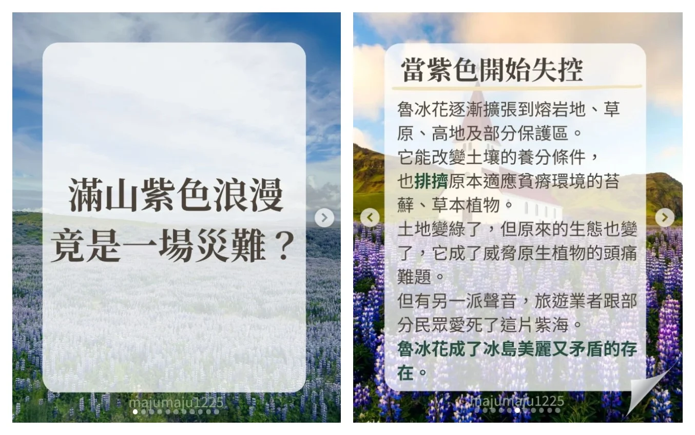 魯冰花貼文：左為封面，右為放進另一派立場的「當紫色開始失控」