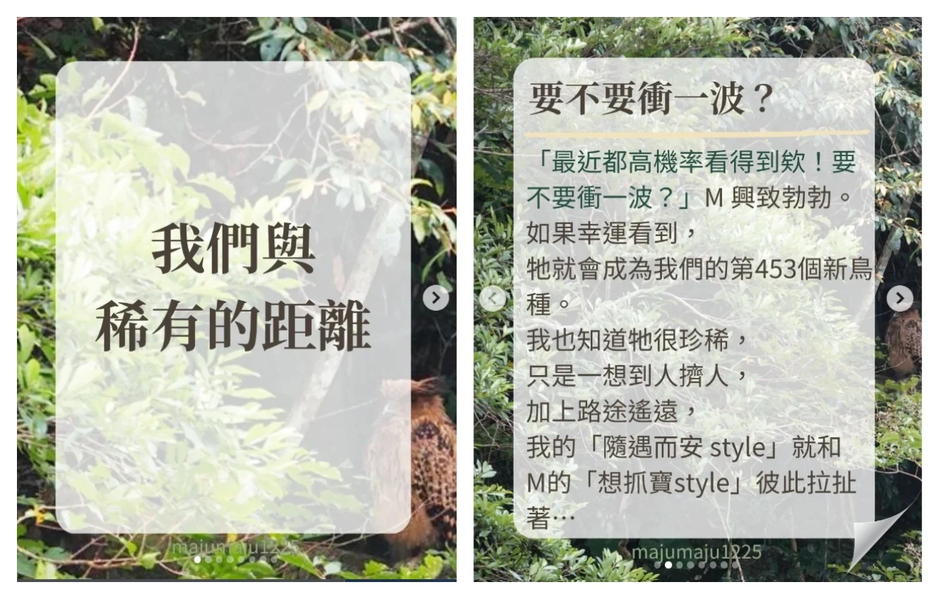 黃魚鴞貼文：左為封面，右為用 M 的原話開場的「要不要衝一波？」