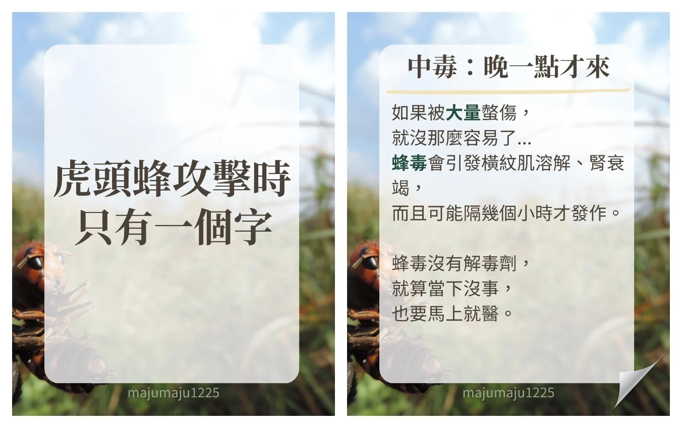 虎頭蜂貼文：左為封面，右為 Aha 檢查補進的「中毒：晚一點才來」